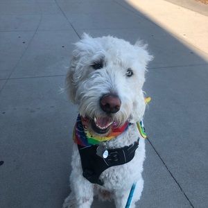 Meet your Posher, Nicholas